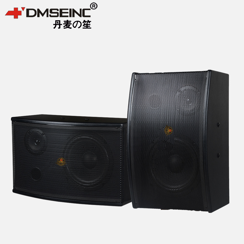 DMSEINC DM-262 家庭KTV客厅卡拉OK音箱 专业会议教学卡包音响