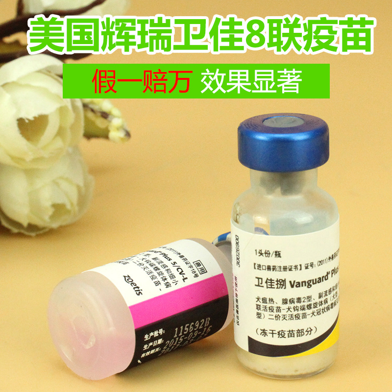 美国辉瑞卫佳捌疫苗辉瑞五联卫佳卫佳5联宠物犬用进口