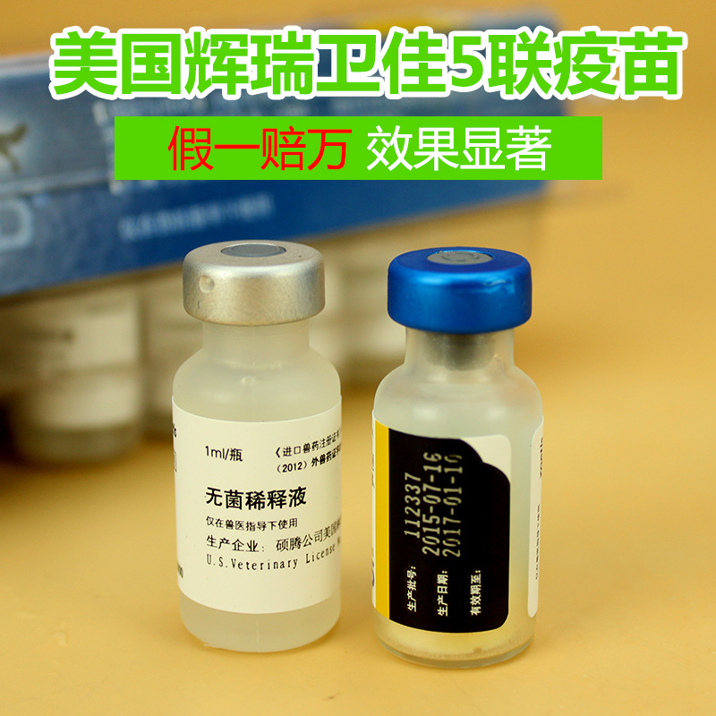 美国辉瑞卫佳捌疫苗辉瑞五联卫佳卫佳5联宠物犬用进口疫苗现货 宠物